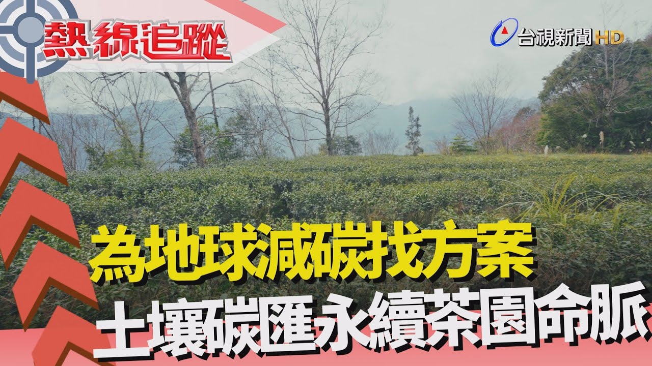 台視熱線追蹤｜全台首座土壤碳匯方法學所建立的永續茶園