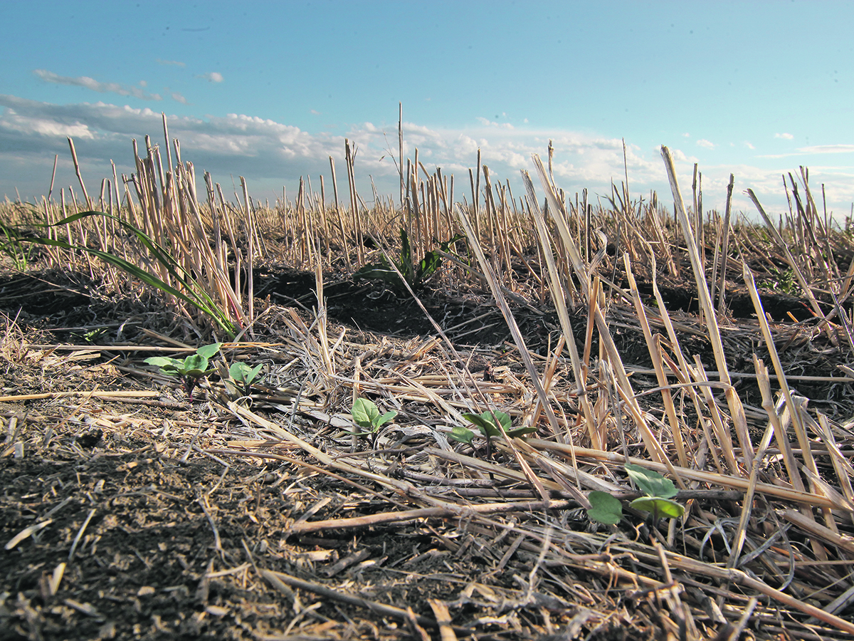 農業準備轉型：當金錢不足以改變習慣
