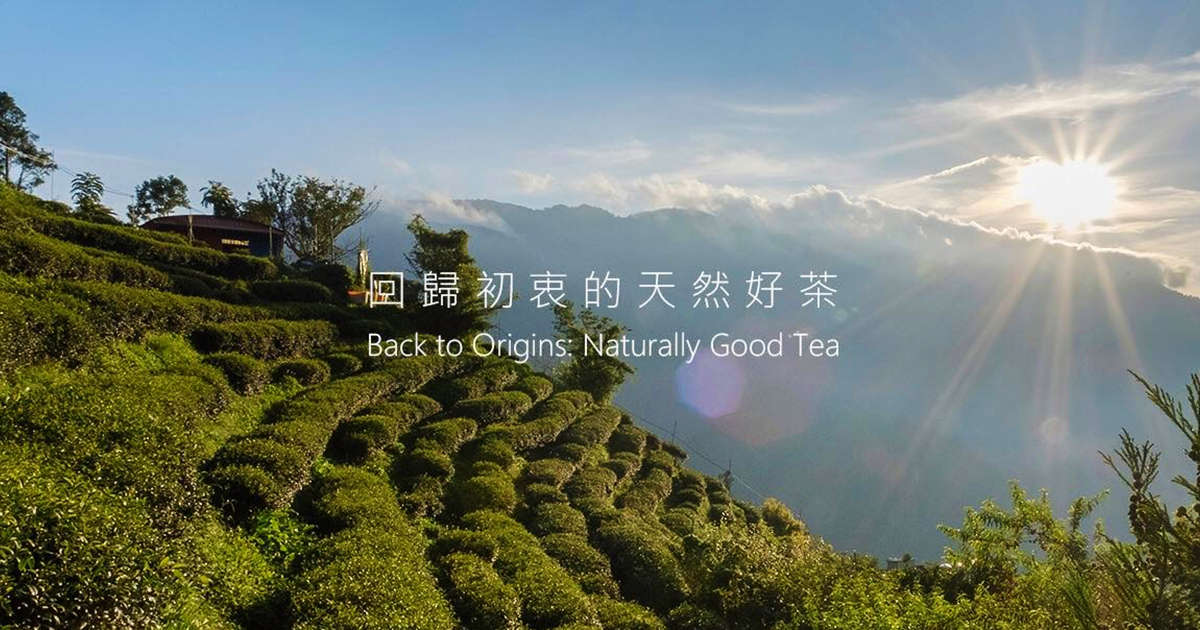 新生方法學 AL-TMS0004 正式通過環境部審定公告