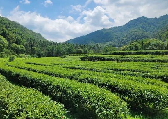 Best for the World，不只是口號