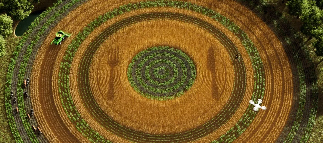 再生農業：創新與傳統的碰撞