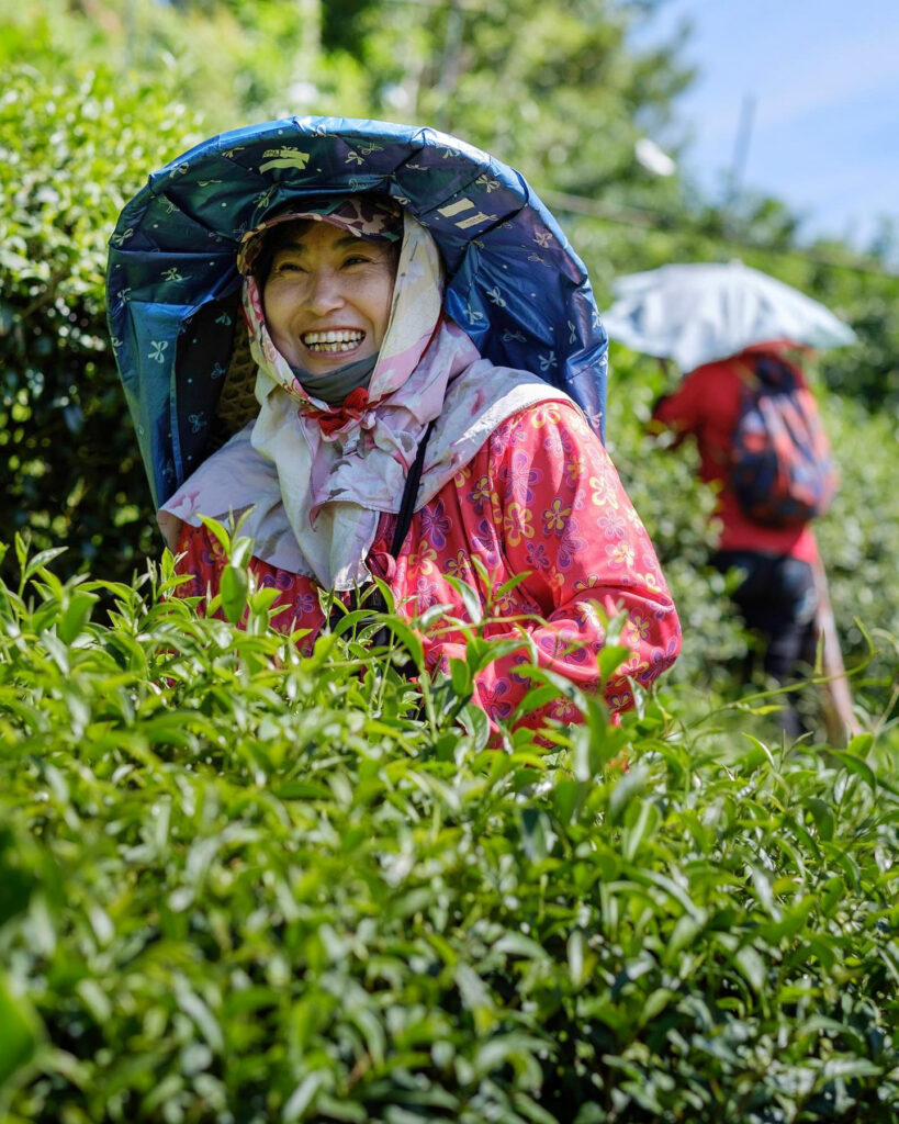 新生永續採茶人