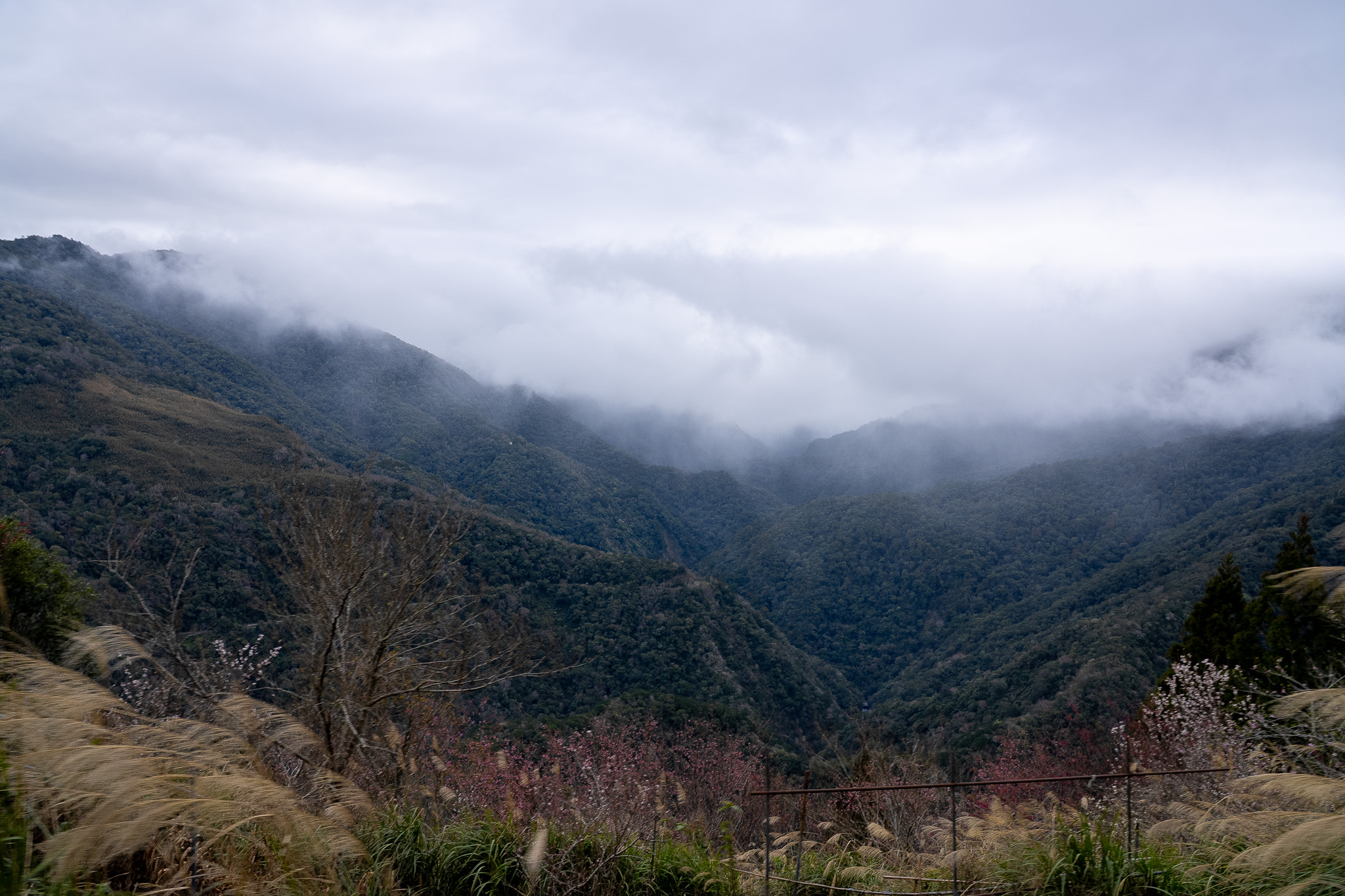 自然的魔力 - 山景